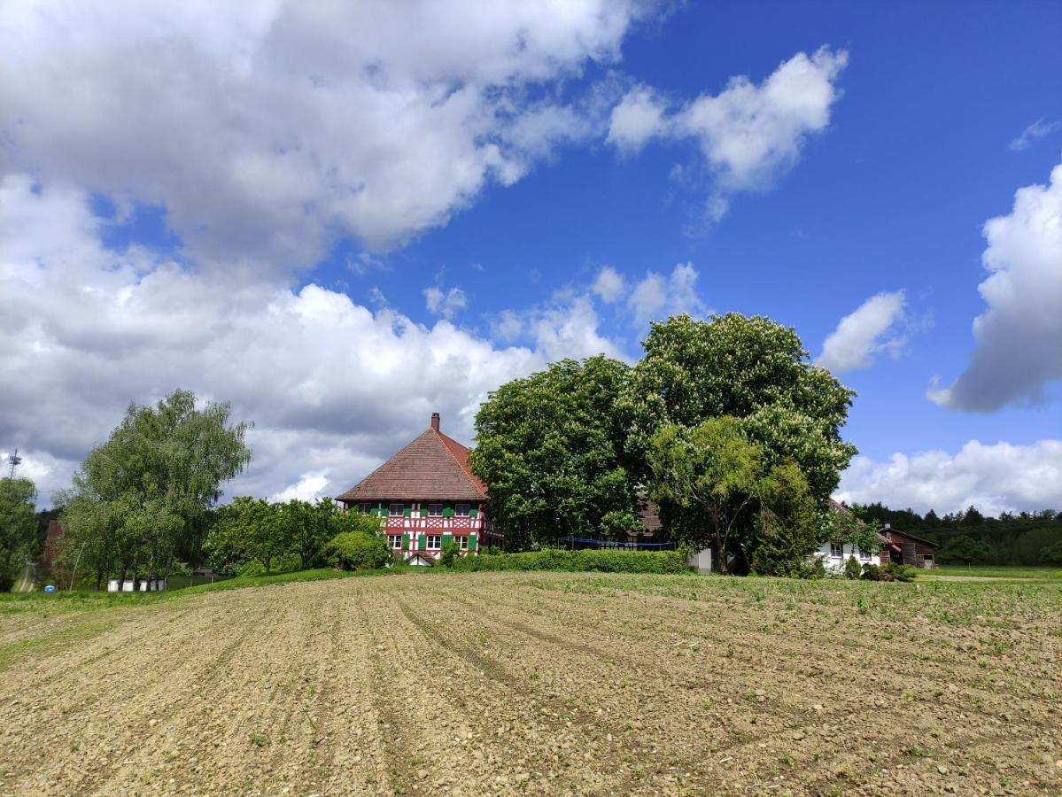 Hofgut Breitenbach 마르크도르프 외부 사진
